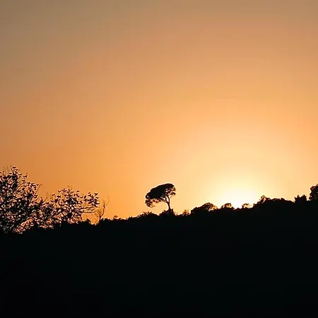 In Algarve, Nature And Disconnection ! Loule
